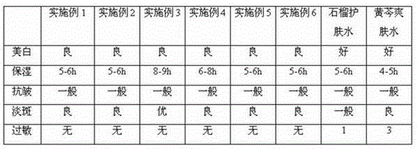 Dendrobe toner and preparation method thereof