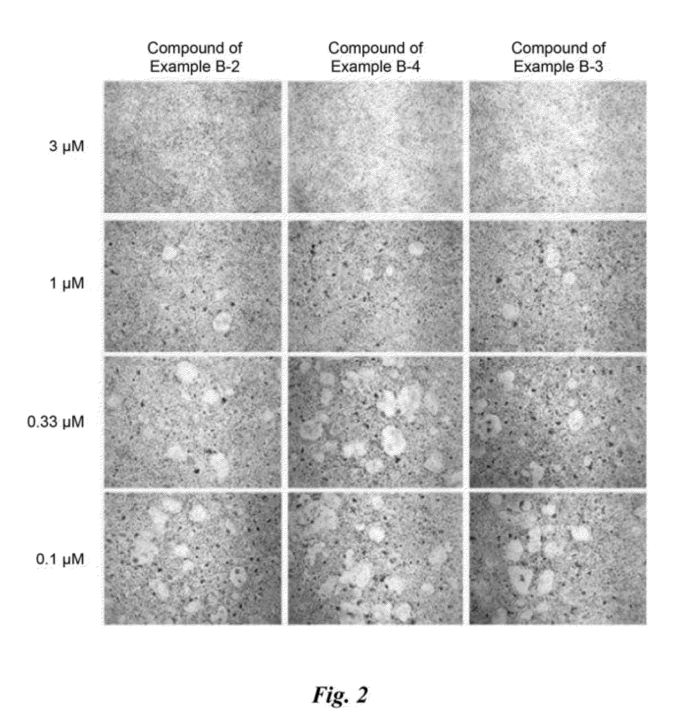 Pyrazole derivatives, preparation method thereof, and composition for prevention and treatment of osteoporosis containing same