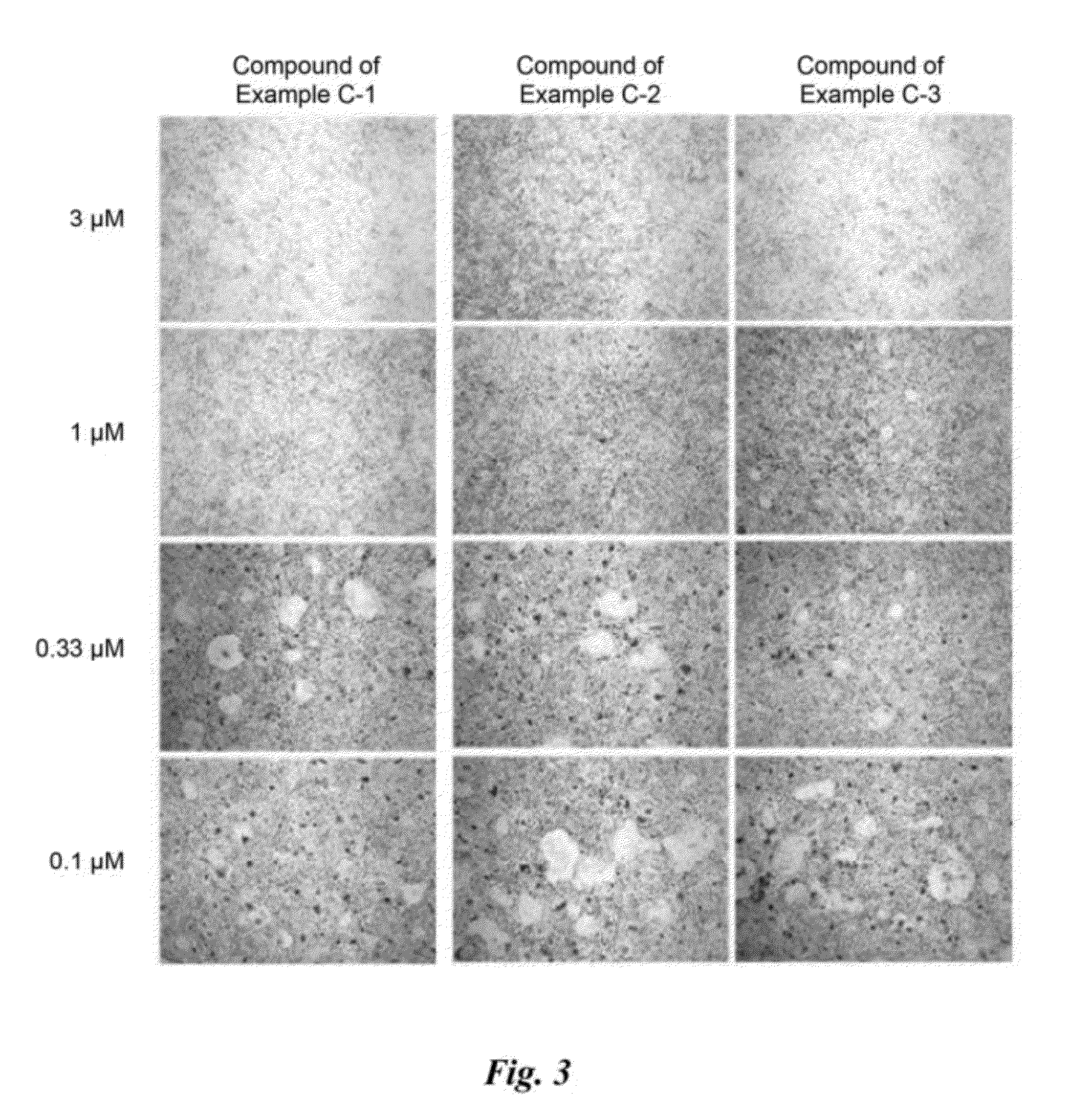 Pyrazole derivatives, preparation method thereof, and composition for prevention and treatment of osteoporosis containing same