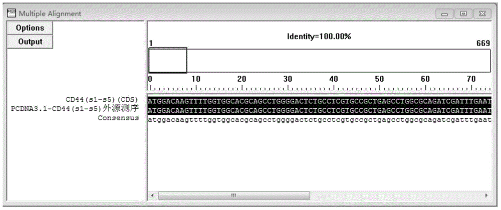 New application of CD44 plasmid