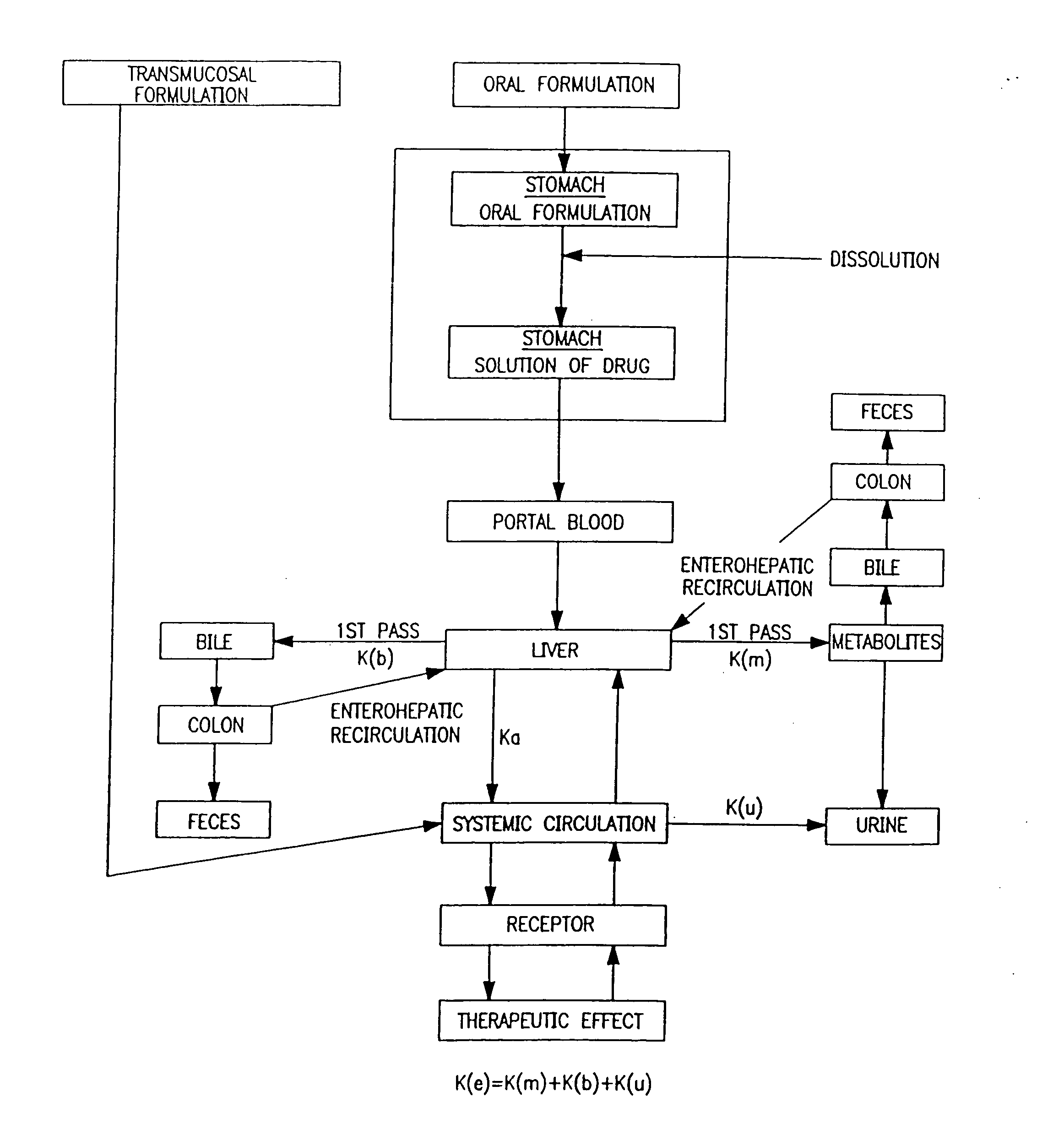 Buccal, polar and non-polar spray or capsule containing cardiovascular or renal drugs