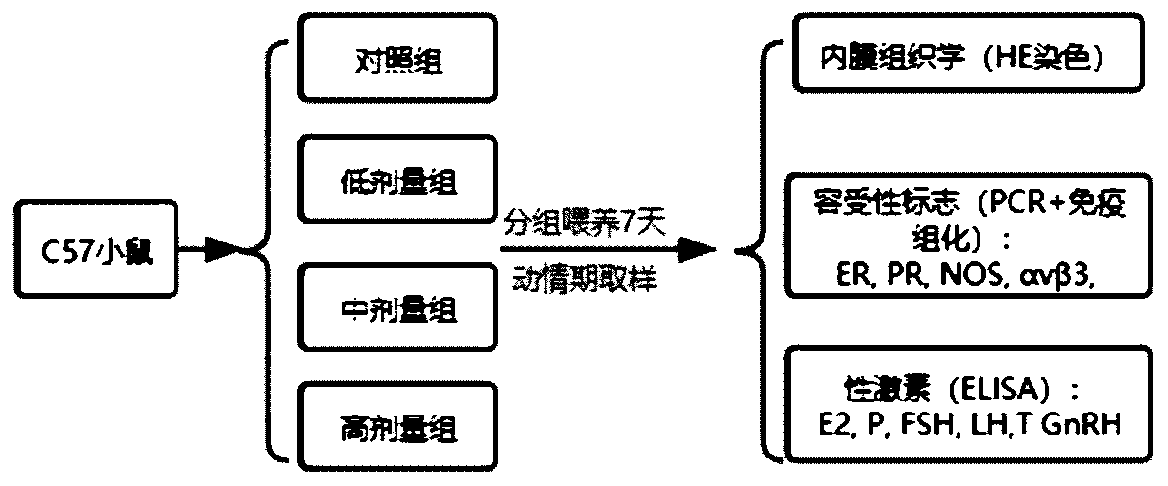 Compound medicine for improving gynecological reproductive endocrine diseases and preparation method of compound medicine