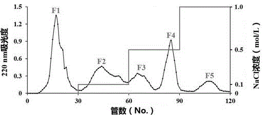 Anti-prostate-cancer tegillarca granosa protein polypeptide as well as preparation method and application thereof