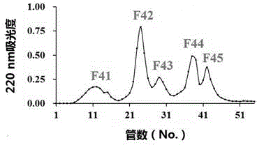 Anti-prostate-cancer tegillarca granosa protein polypeptide as well as preparation method and application thereof