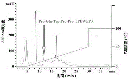 Anti-prostate-cancer tegillarca granosa protein polypeptide as well as preparation method and application thereof