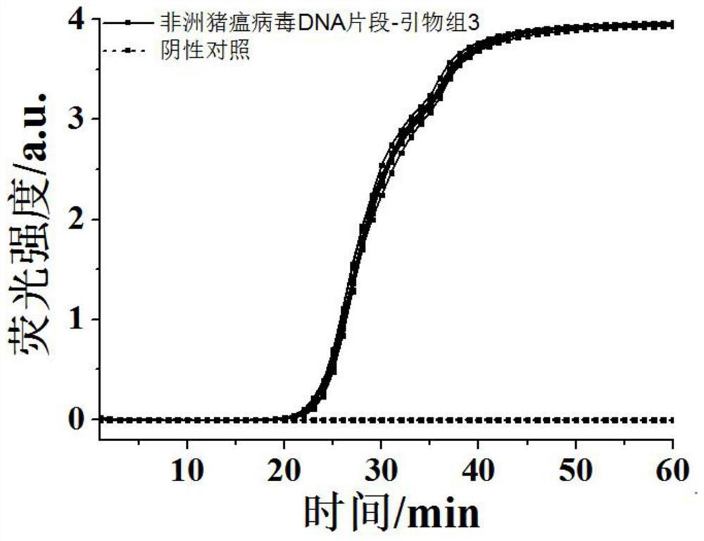 CDA primer group and kit for detecting African swine fever virus and application of CDA primer group and kit