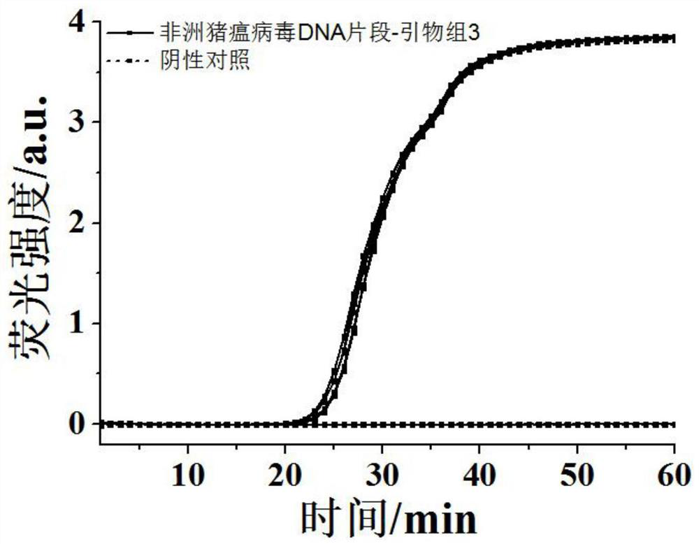 CDA primer group and kit for detecting African swine fever virus and application of CDA primer group and kit