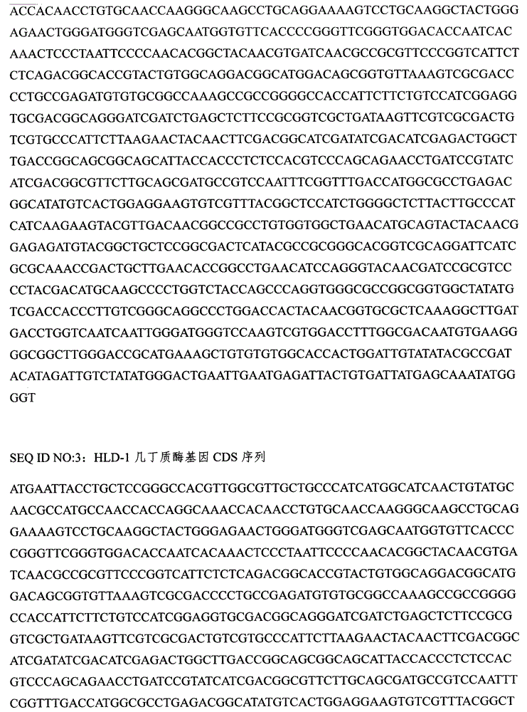 Clonostachys rosea engineering strain for transforming chitinase gene, and applications thereof