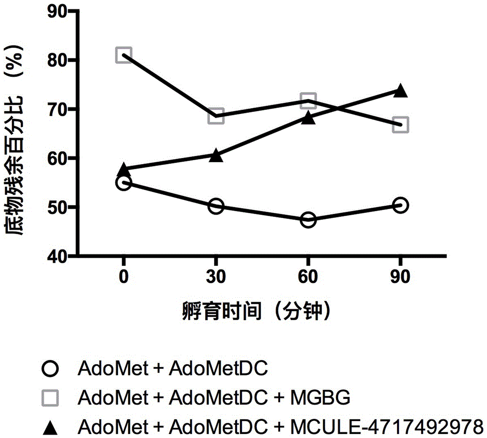 Application of small-molecule covalent inhibitor in preparing medicine for inhibiting S-adenosylmethionine decarboxylase and screening method