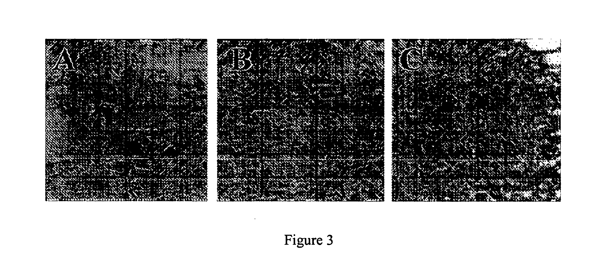 Compositions and methods for treatment of solar damage