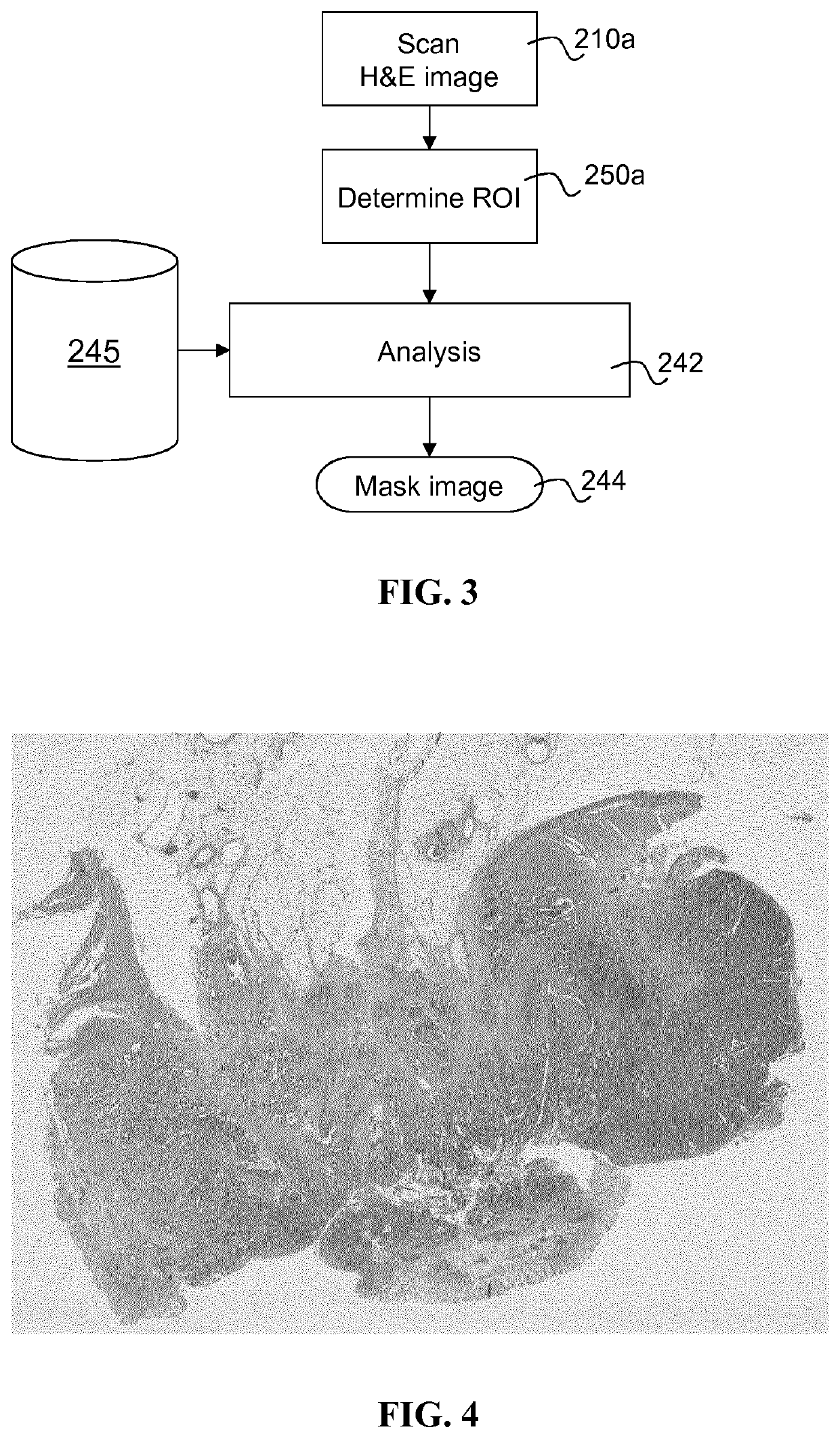 Histopathological image analysis