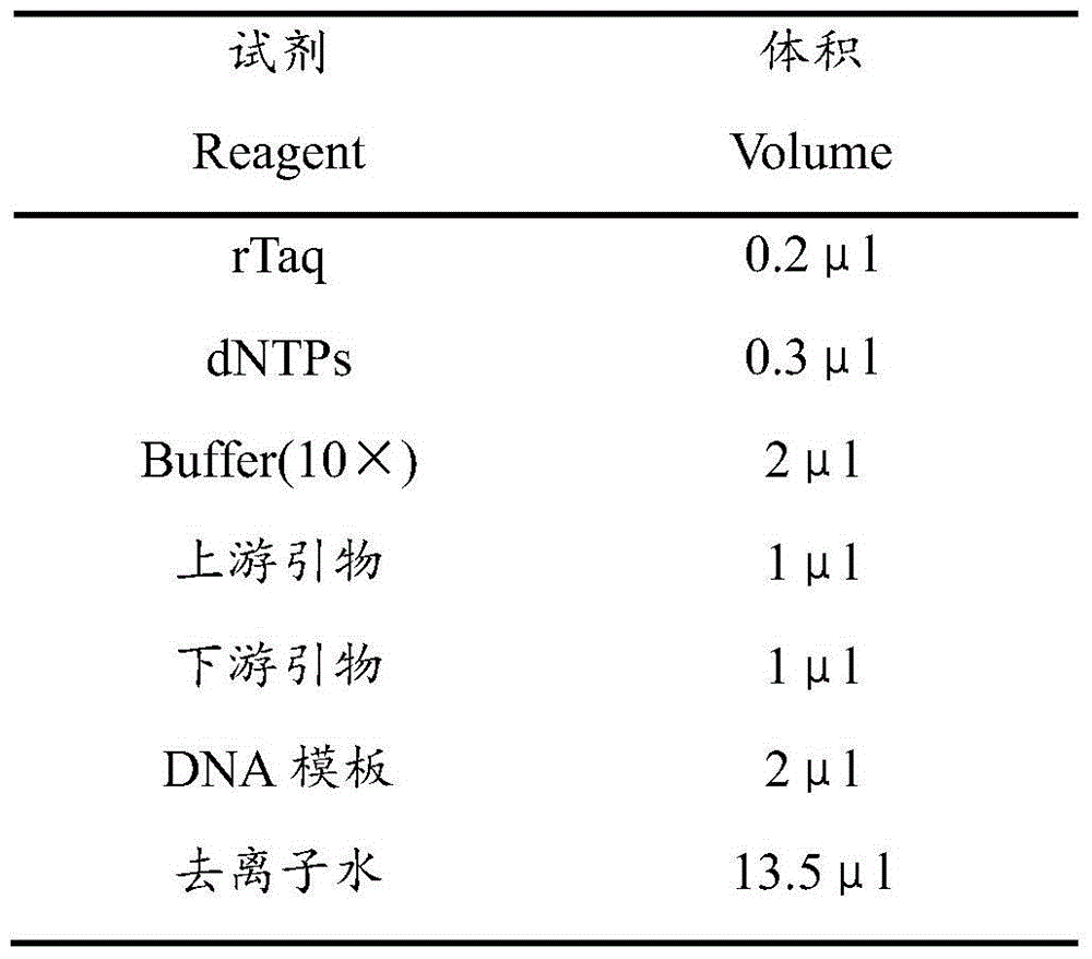 A molecular marker mboii-37 for predicting and identifying the color of watermelon pulp and its application