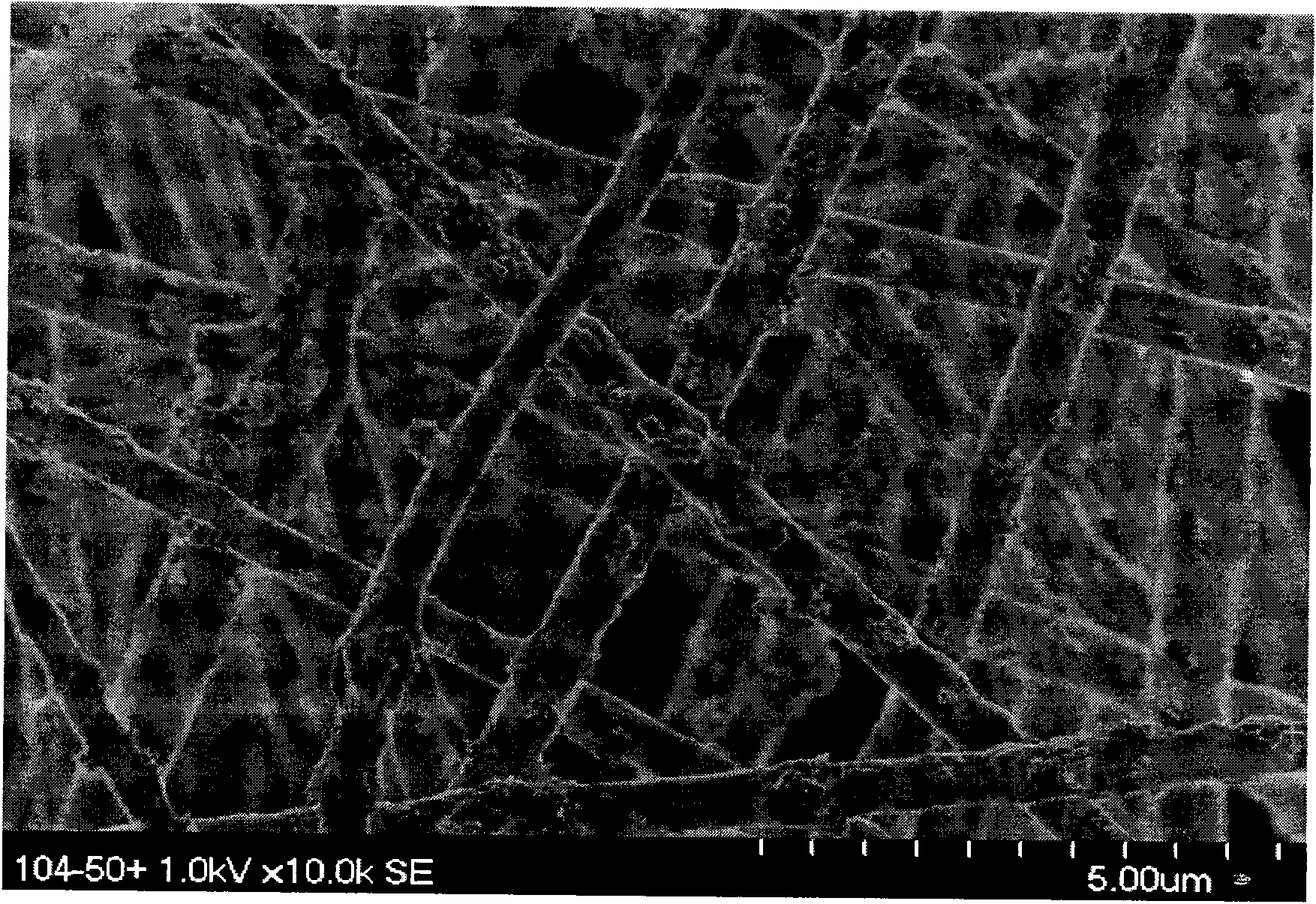 Magnetic composite material and application thereof in regeneration and repair of bone tissues