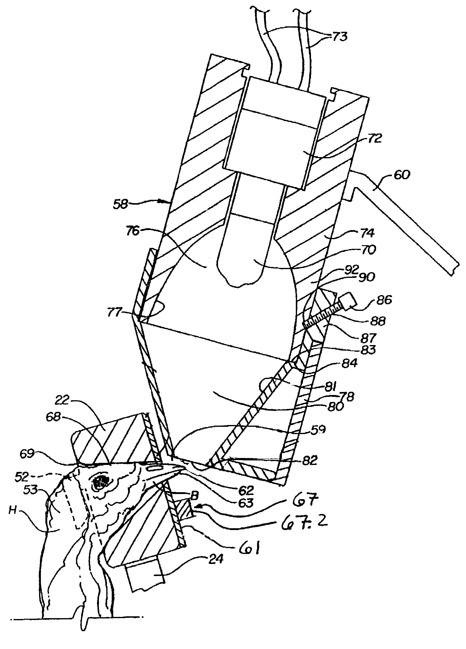 Apparatus and method for upper and lower beak treatment