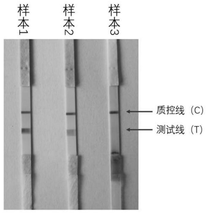 Nucleic acid testing test kit, method and application thereof