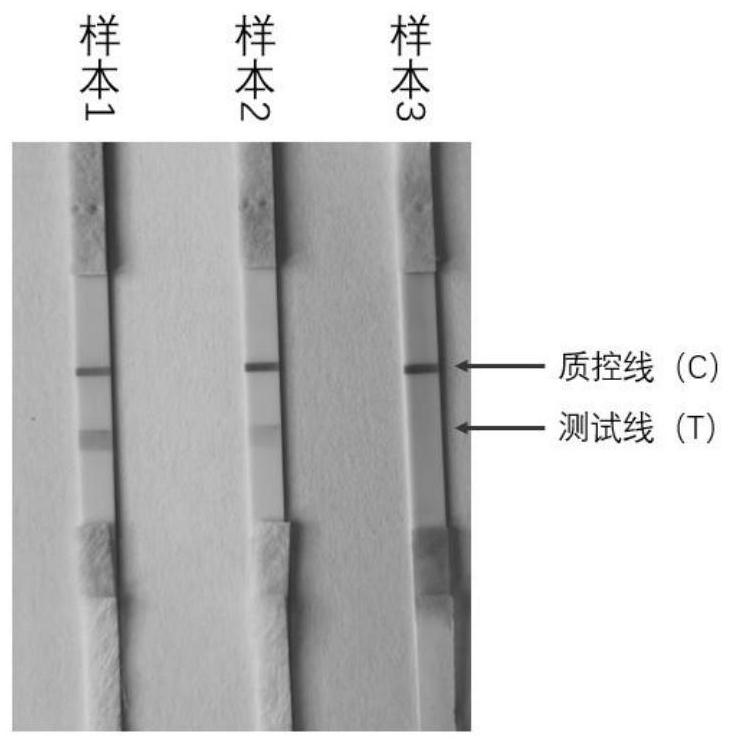 Nucleic acid testing test kit, method and application thereof