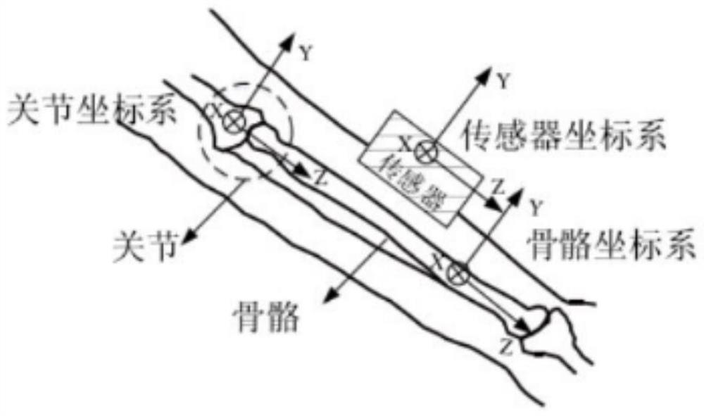 A wearable teleoperation platform for remote operation