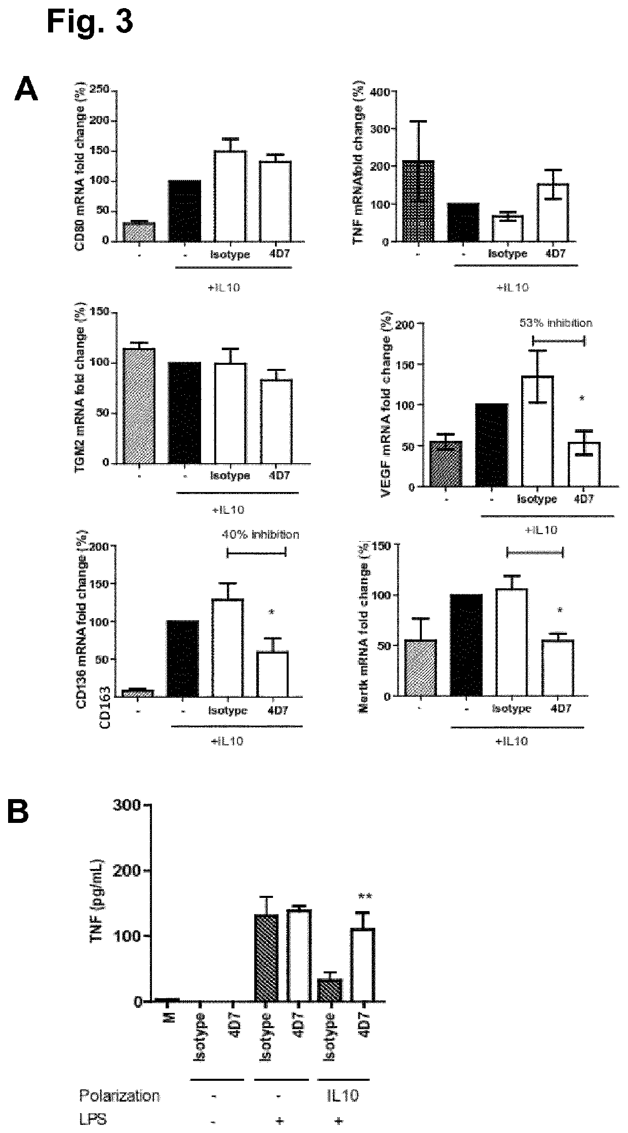 Anti-cd5l antibody and uses thereof