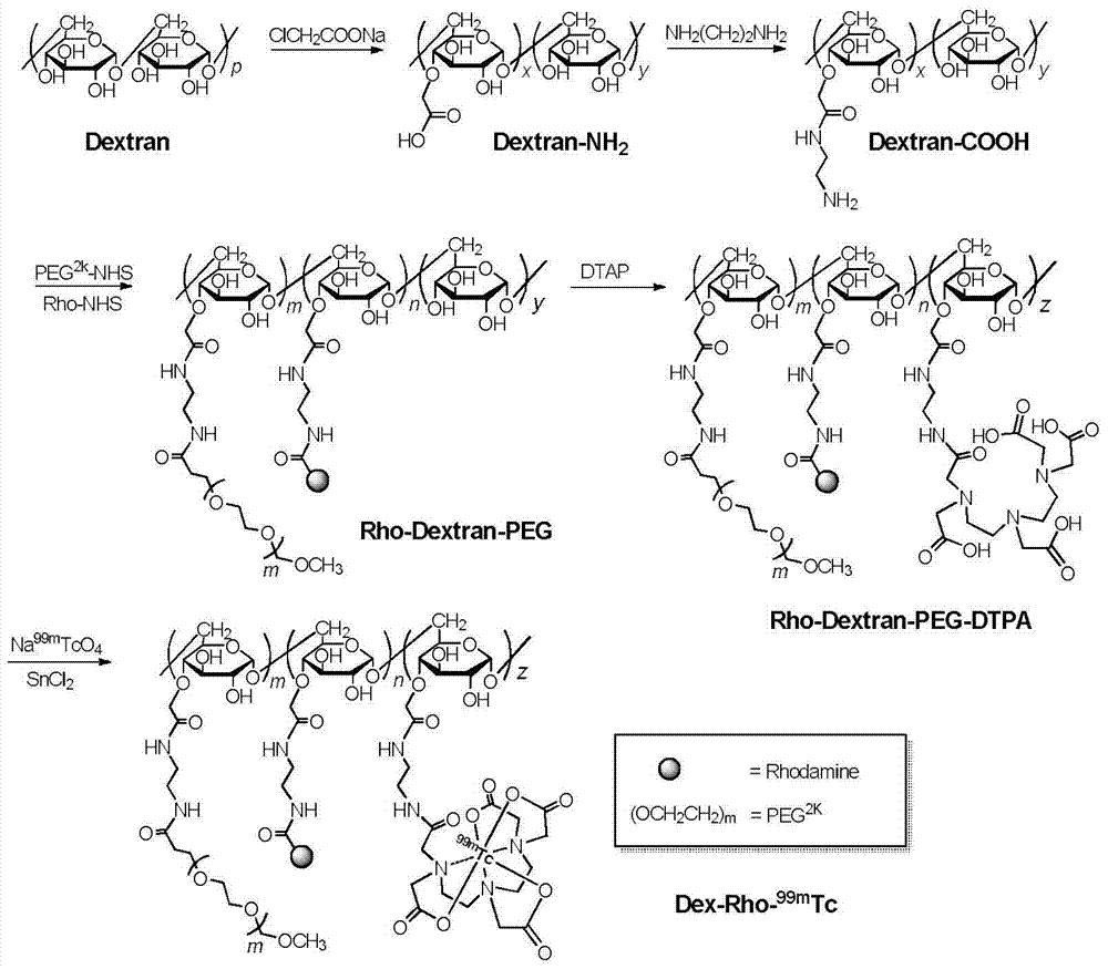 Dual-modal nano imaging drug Dex-Rho-99mTc based on glucan