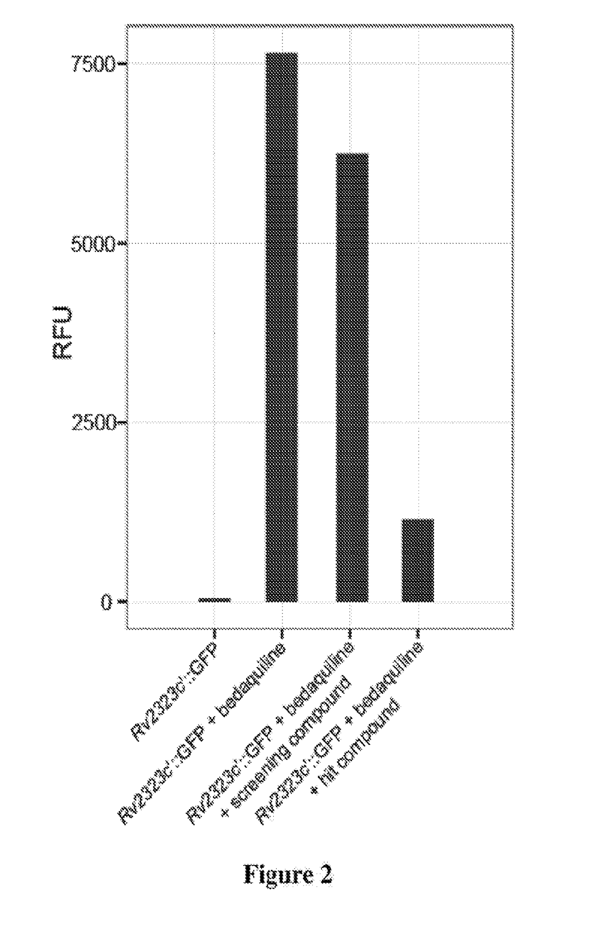 Methods to identify antituberculosis compounds