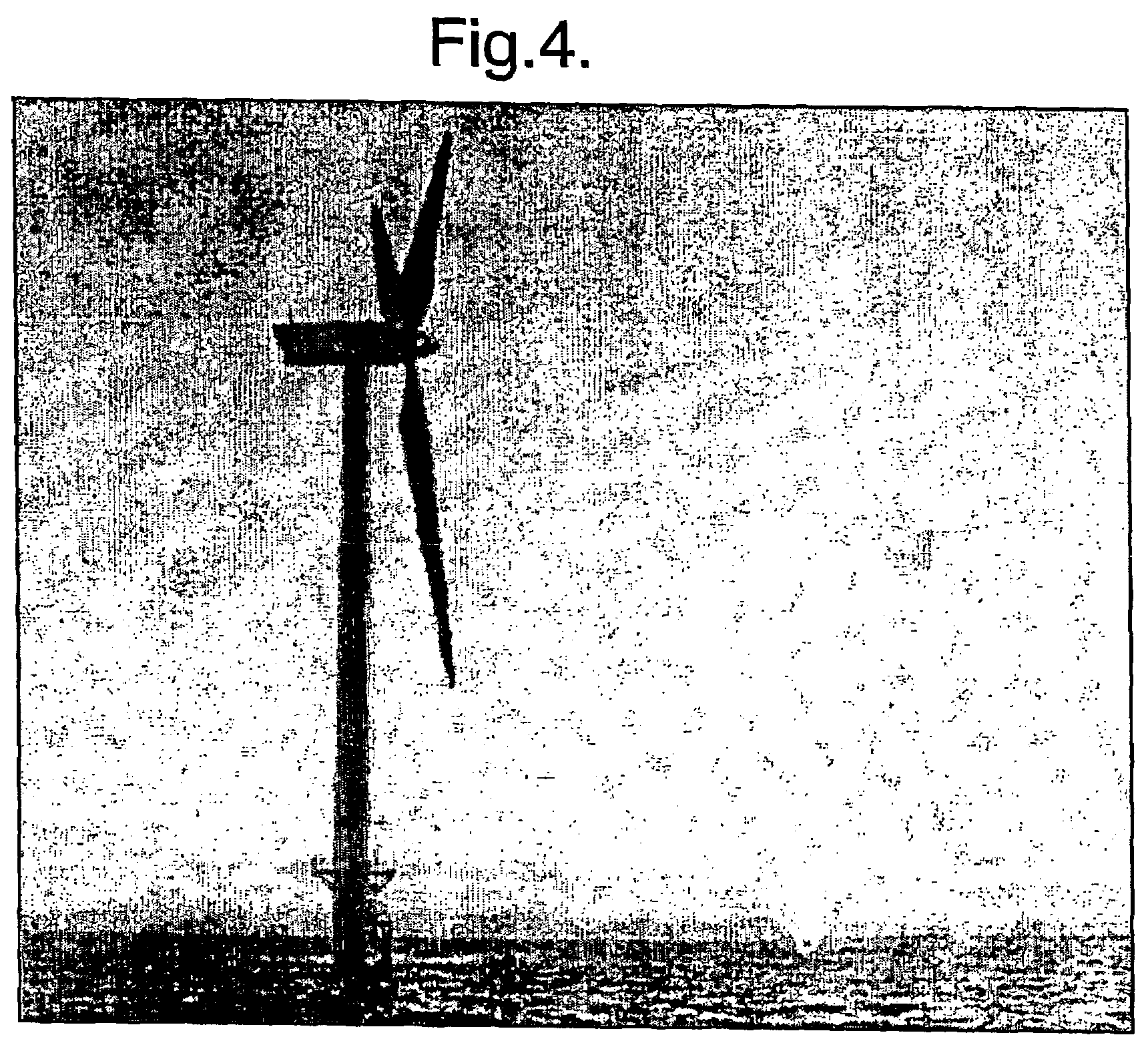 Wind speed measurement apparatus and method