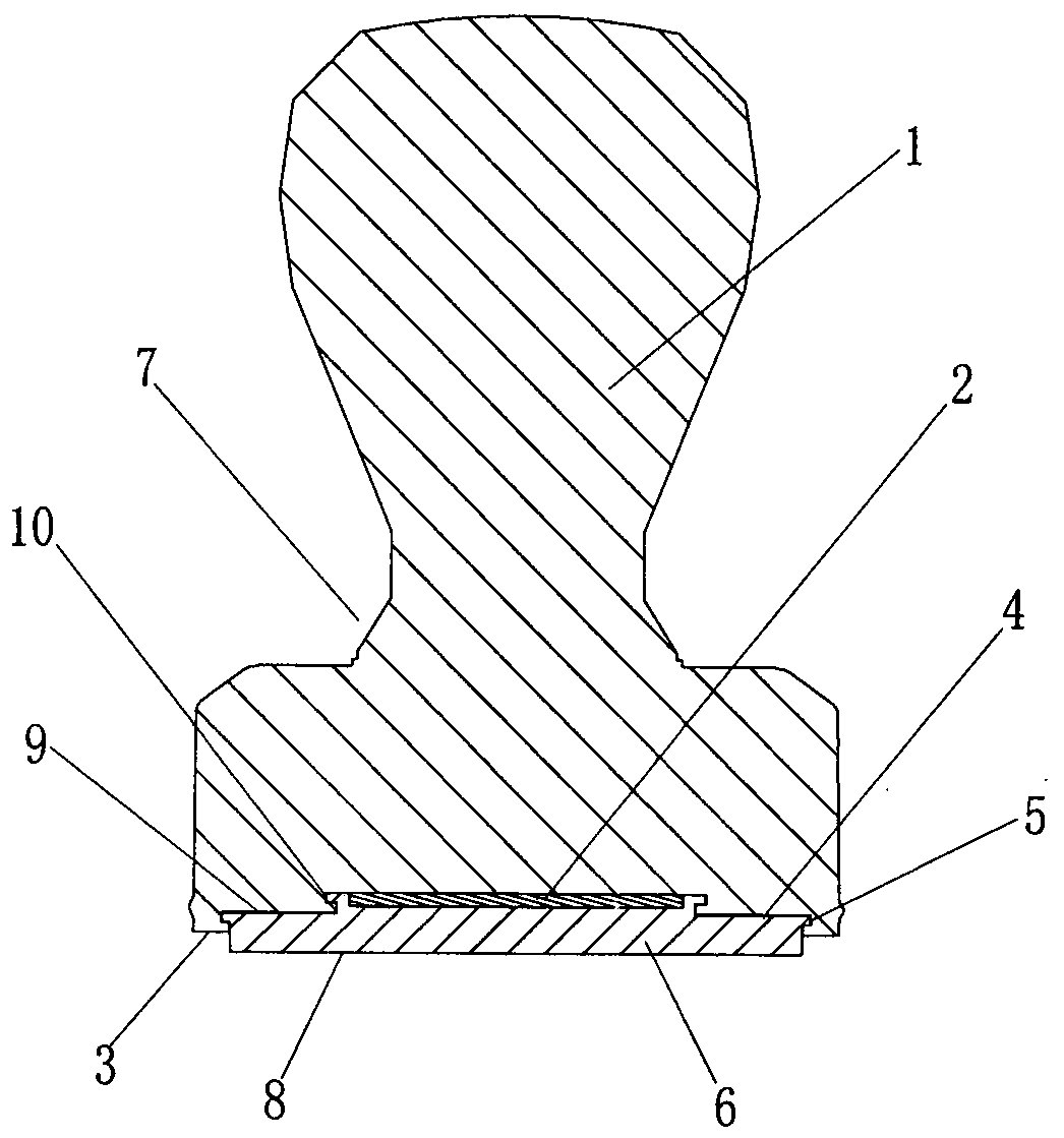 Soft and hard material combined seal with cast electronic chip and manufacturing method of seal