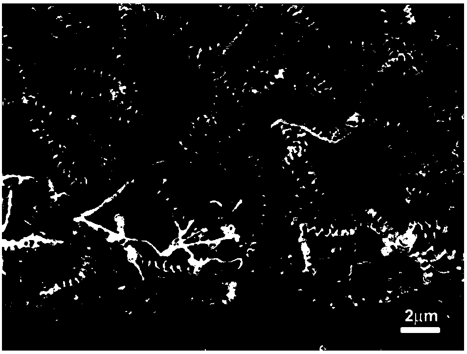 Method for growing spiral carbon nanotube on porous carbon derived from timber