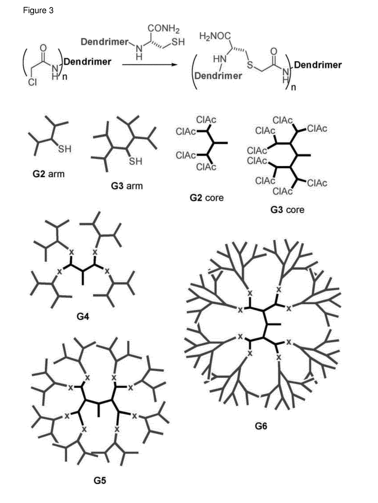 Antimicrobial peptide dendrimers