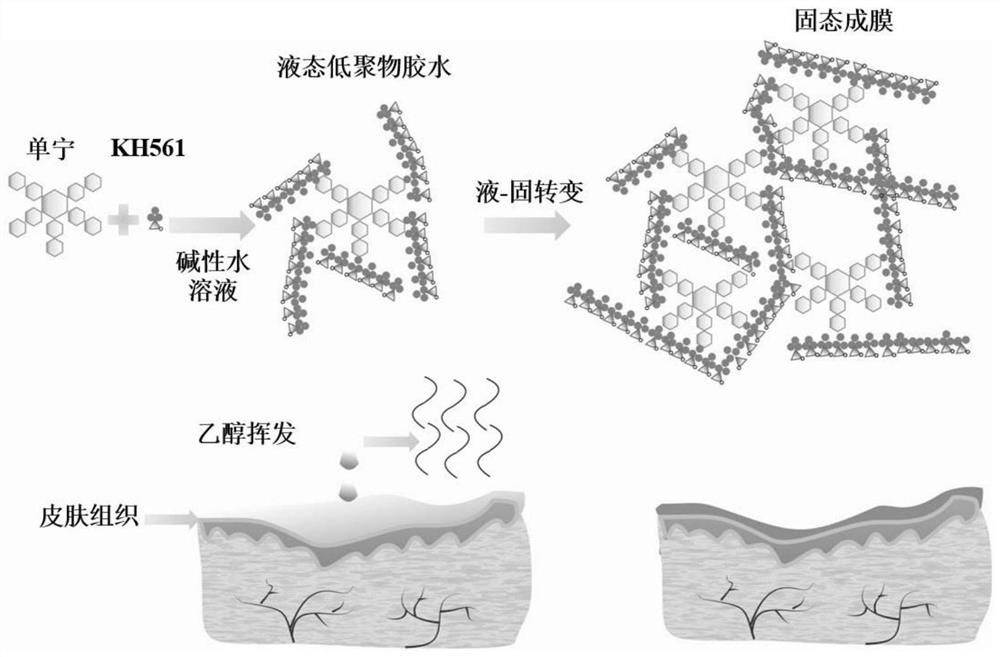 Tannic acid-epoxy silane coupled compound and preparation method thereof