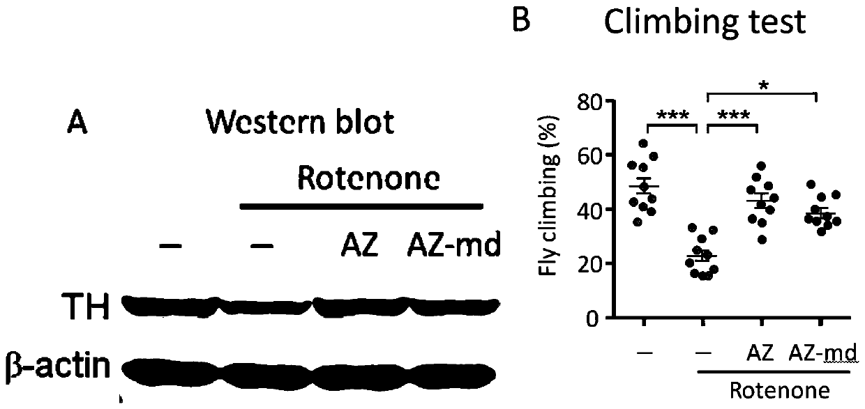 Application of Alfuzosin to treating or preventing Parkinson's disease and related diseases