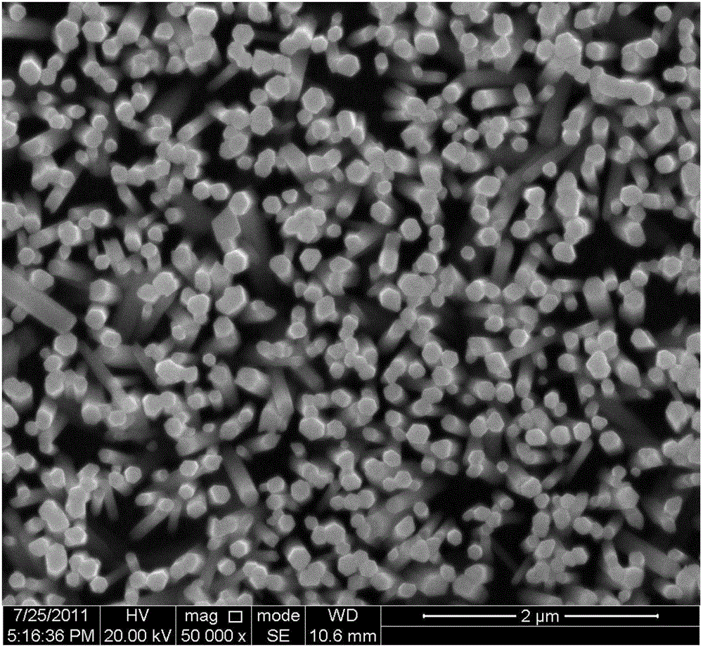 A kind of quantum dot modified zno nanorod array electrode and preparation method thereof