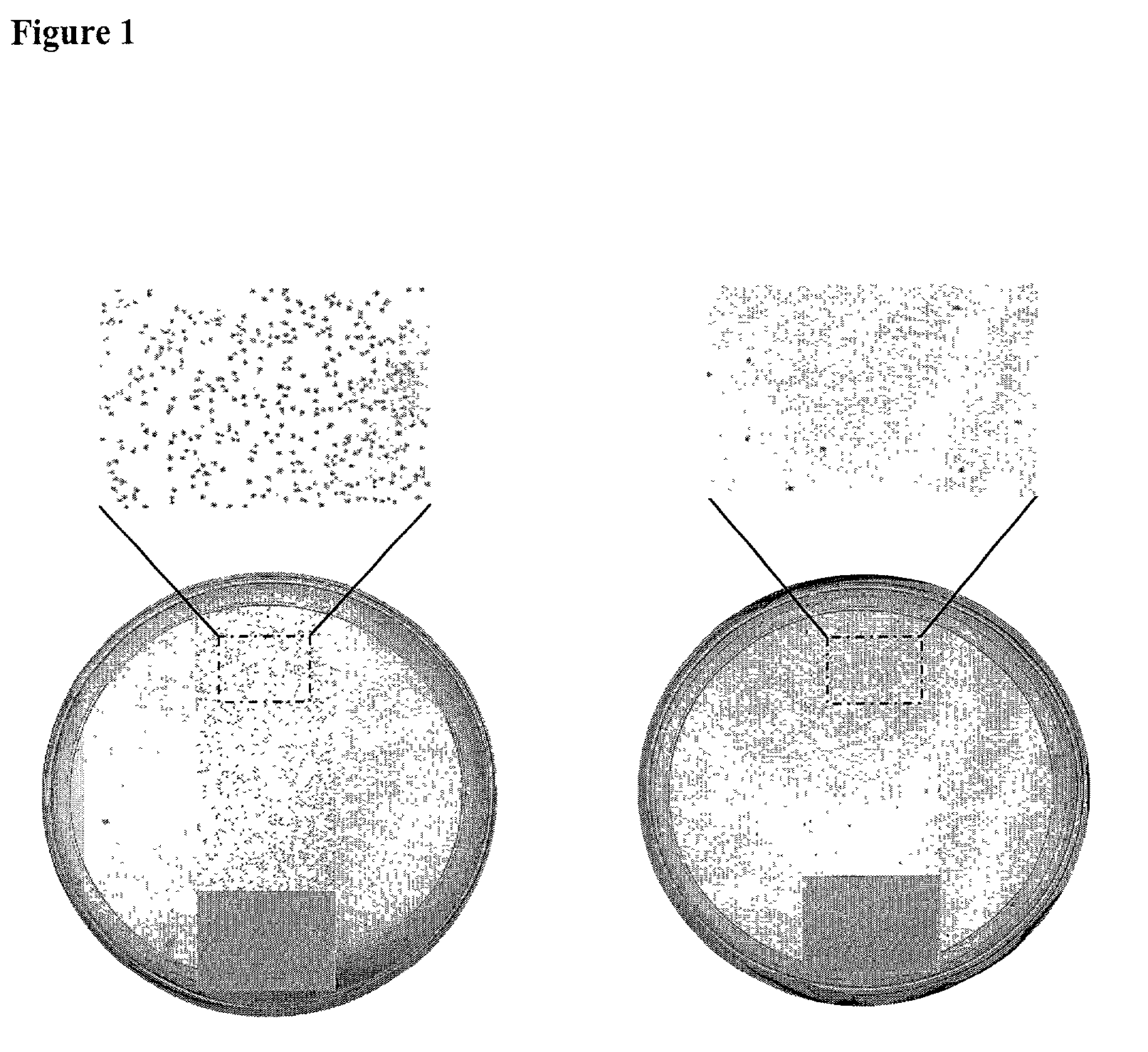 Antimicrobial polymeric surfaces