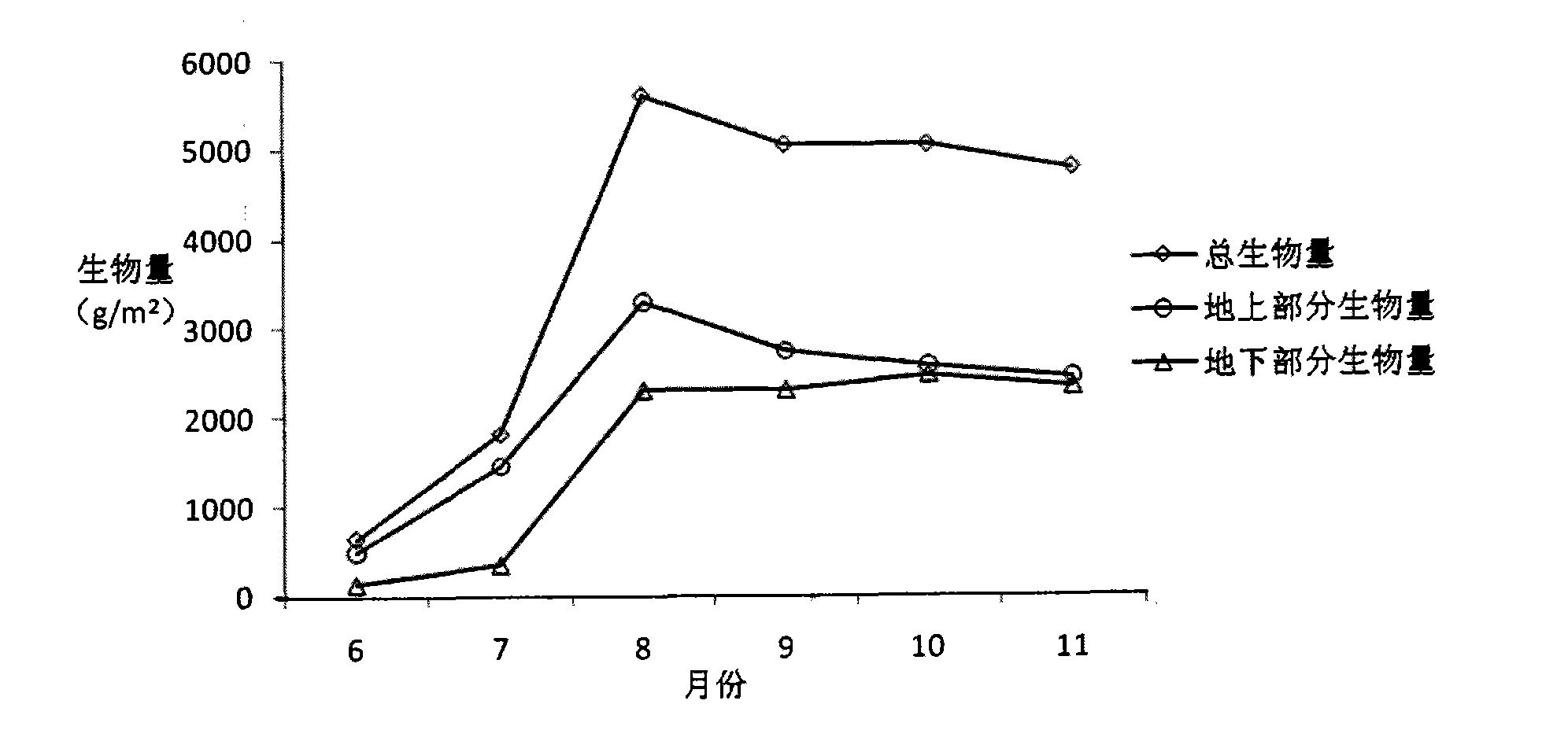 Technique for cultivating bulrush and removing total nitrogen in artificial marsh of landfill leachate