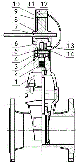 Intelligent digital encryption valve