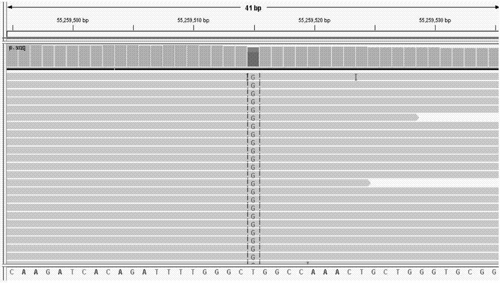 Targeted capturing and sequencing kit for 33 lung cancer-related genes and application of targeted capturing and sequencing kit