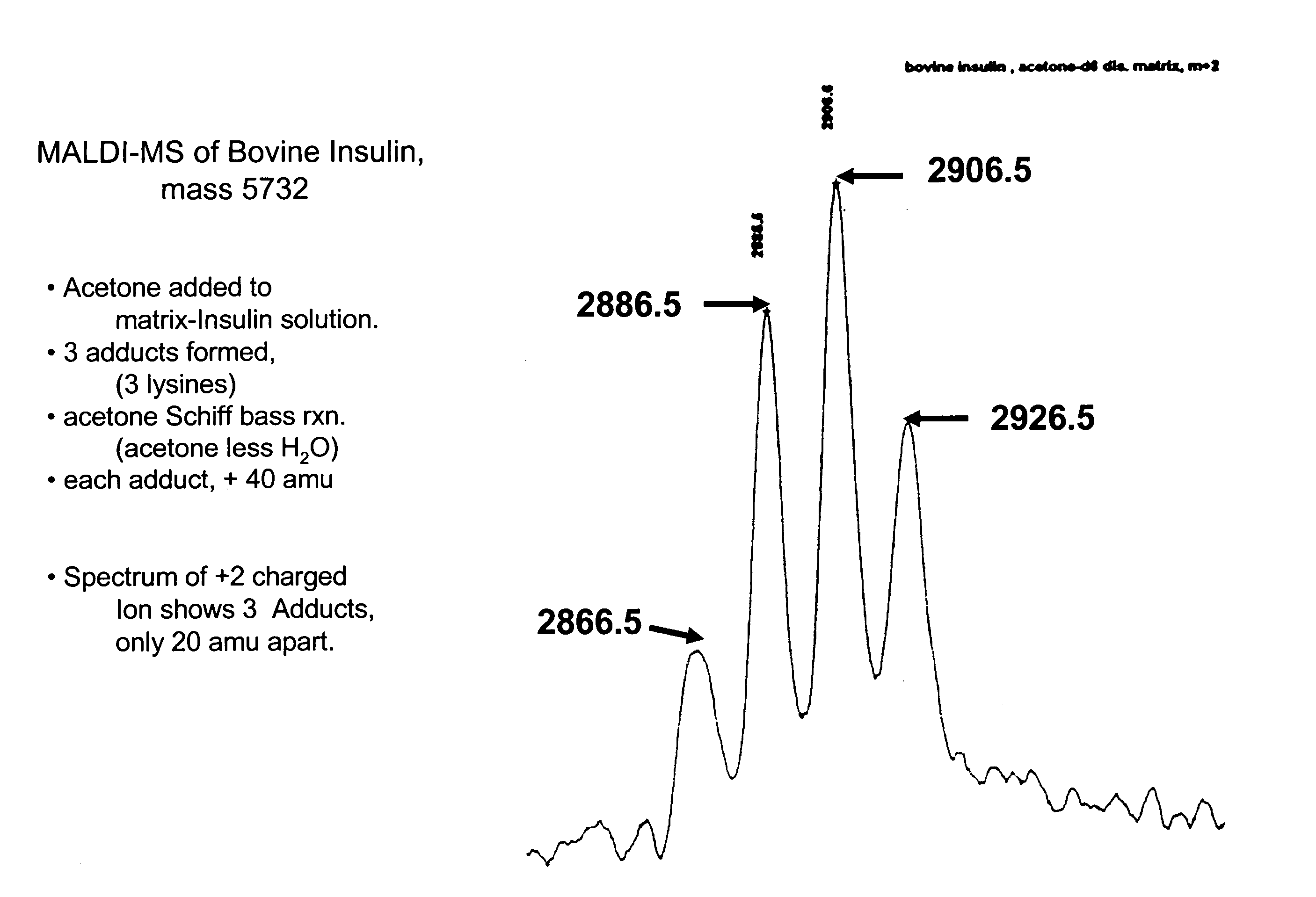 Pattern recognition of whole cell mass spectra