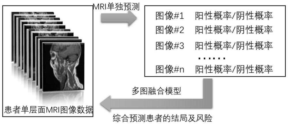 Method and system for constructing oral cancer neck lymphatic metastasis diagnosis algorithm