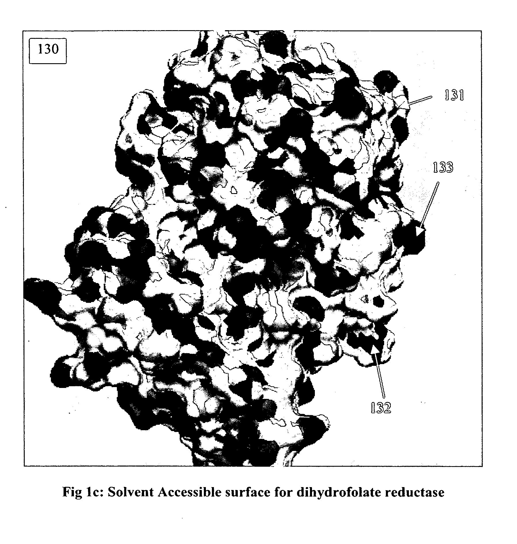 Lead molecule cross-reaction prediction and optimization system