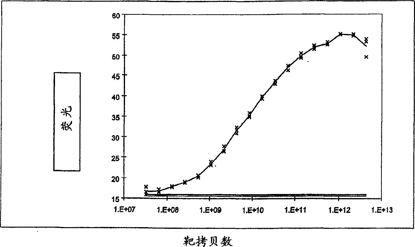 Detection of nucleic acids