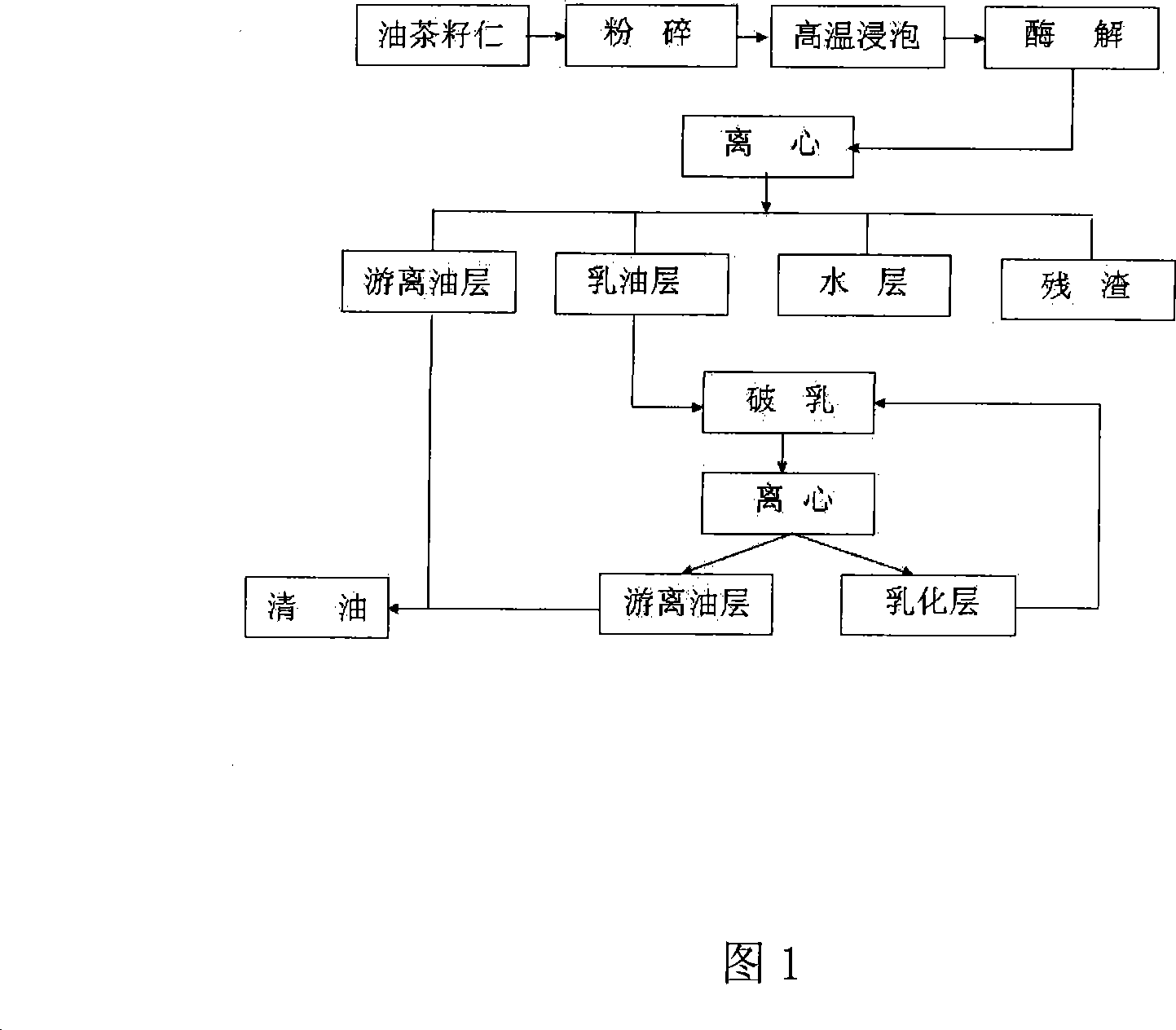 Technique for extracting grease from oil-tea camellia seed by enzyme method