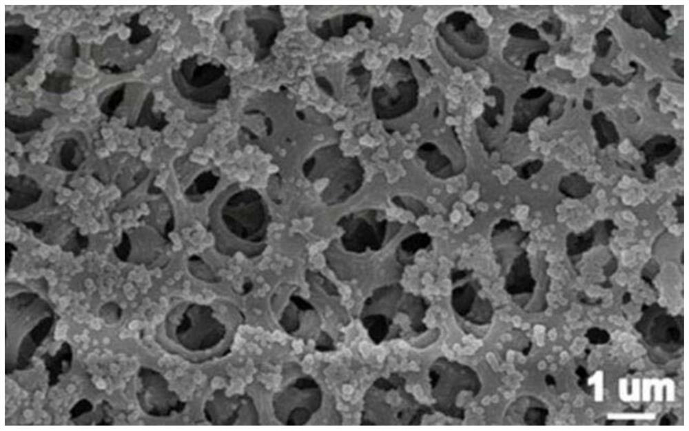 A kind of emodin molecularly imprinted silica nanoparticle composite film and its preparation method and application