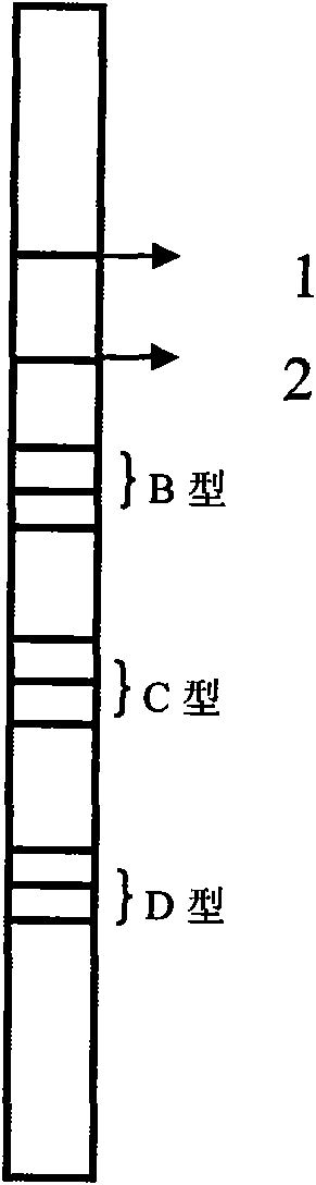 Method and kits for detecting genotype of hepatitis B virus