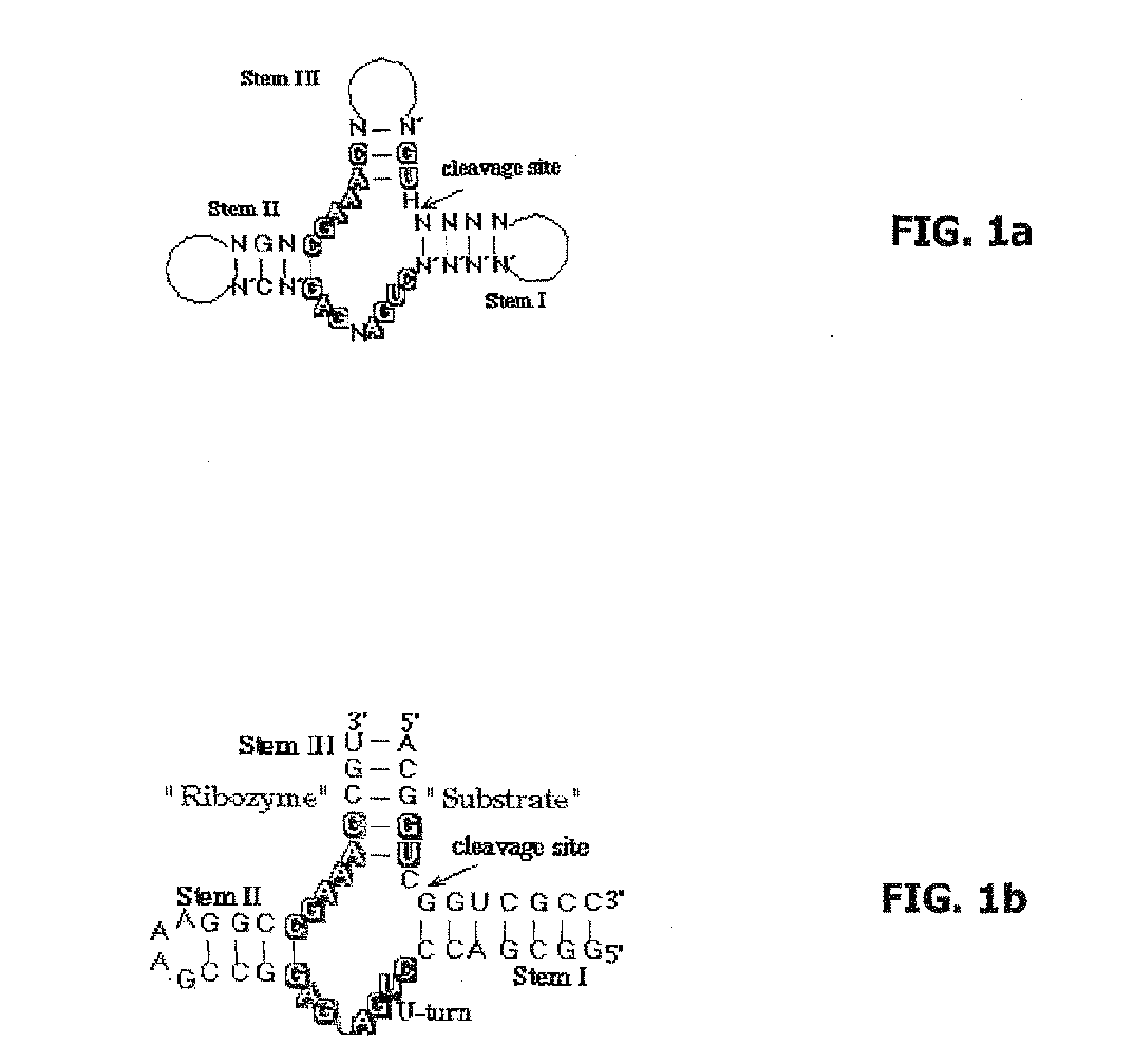 Pharmaceutical composition for treating adverse reactions due to administration of spiegelmers