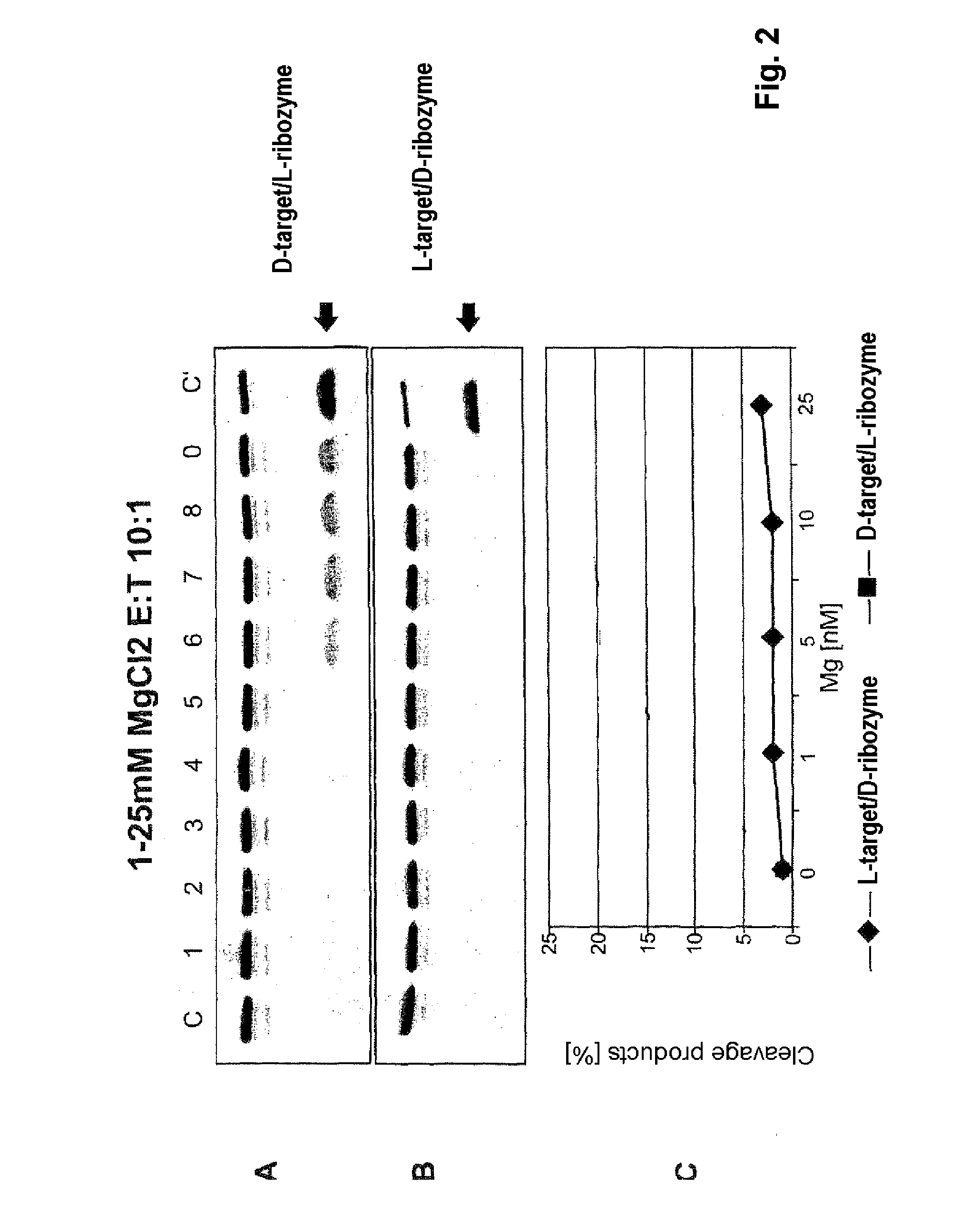 Pharmaceutical composition for treating adverse reactions due to administration of spiegelmers