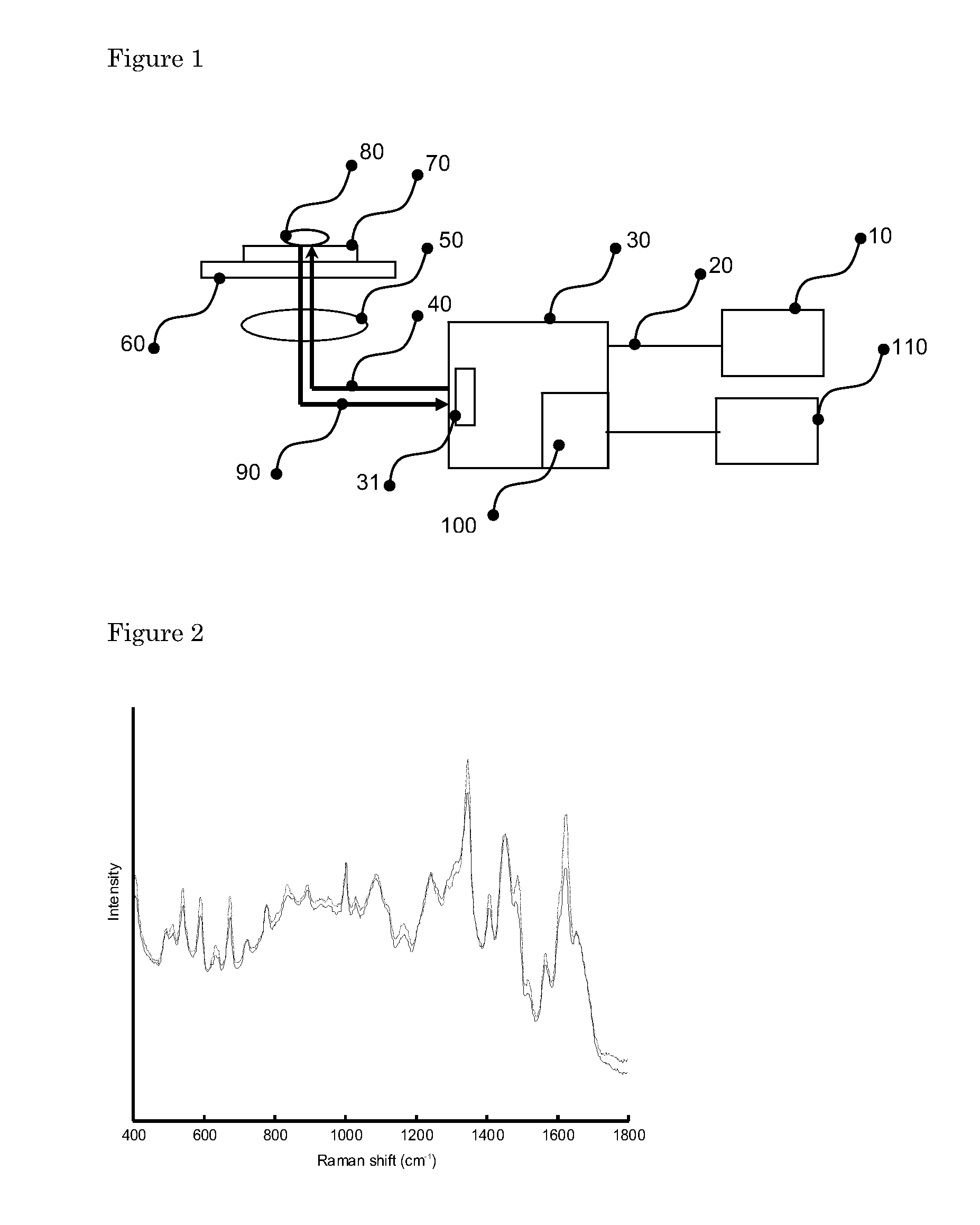 Method for typing and identification of micro-organisms