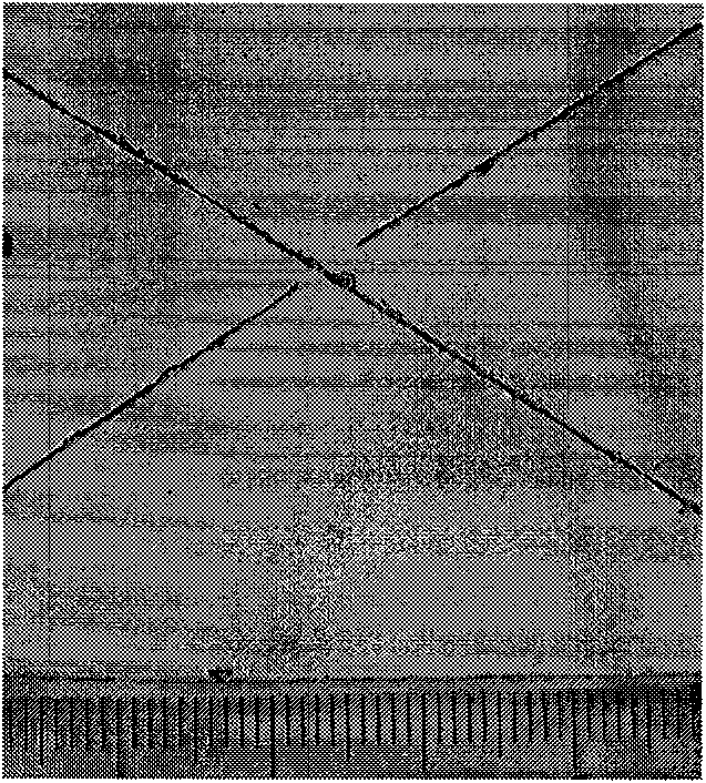 Magnesium alloy chromium-free fluorine-free phosphorization solution and phosphorization method