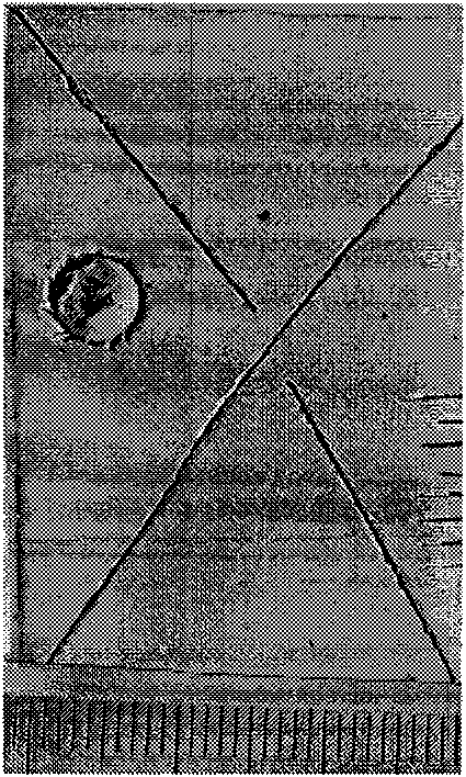 Magnesium alloy chromium-free fluorine-free phosphorization solution and phosphorization method