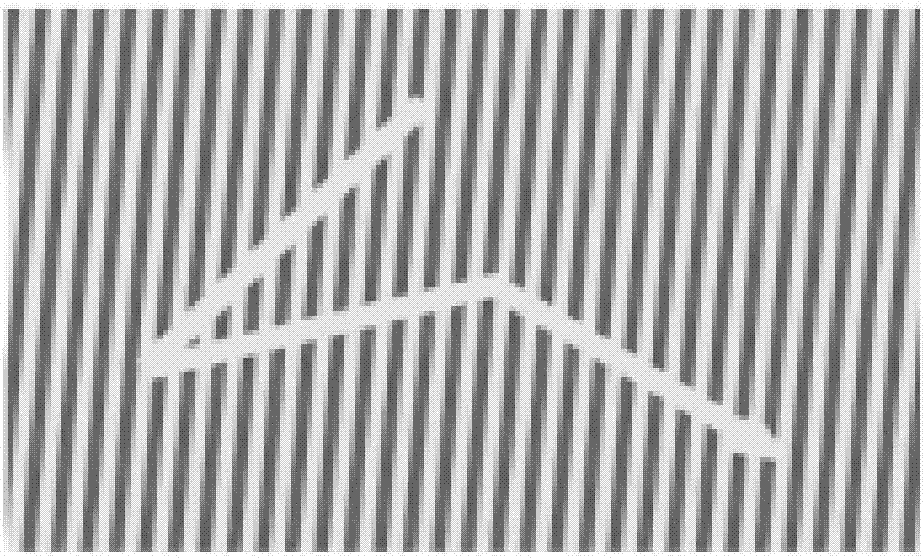 A verification method and system for VAPTCHA (Variation Analysis based Public Turing Test to Tell Computers and Humans Apart)