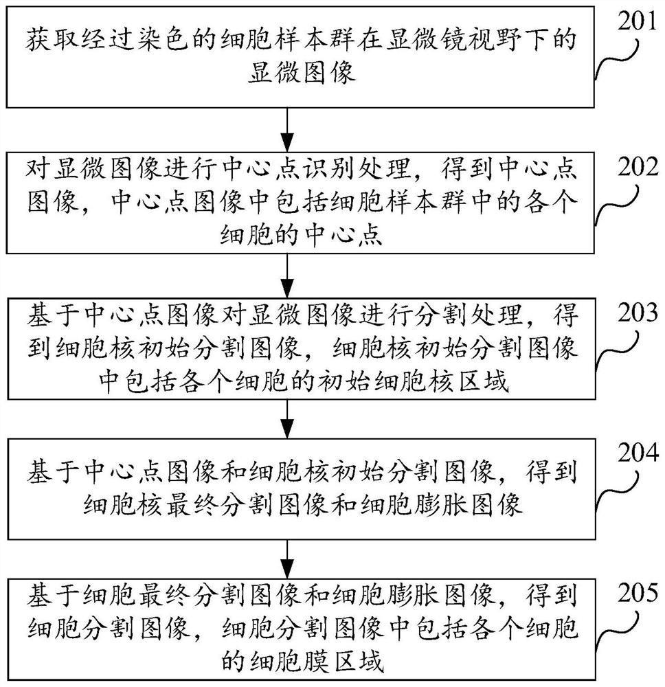 Microscopic image-based cell segmentation method, device, equipment and storage medium