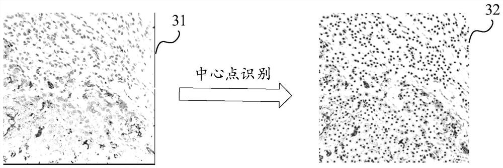 Microscopic image-based cell segmentation method, device, equipment and storage medium